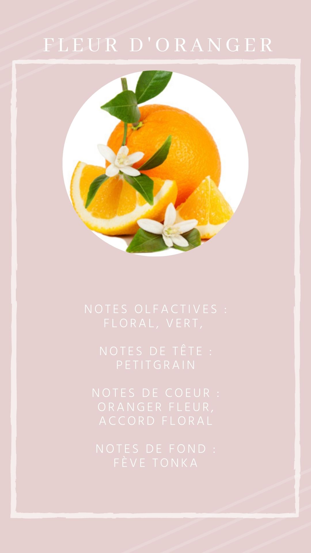 Fleur d'oranger
